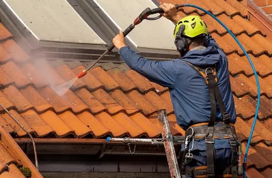 Démoussage et hydrofuge de toiture à Cezay